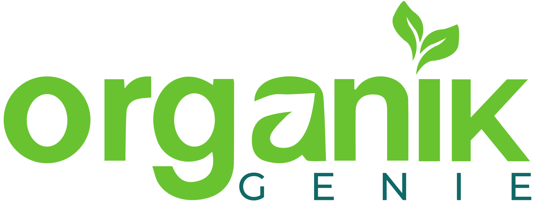 ORGANIK GENIE logo – premium Natural Healthy organic products brand.